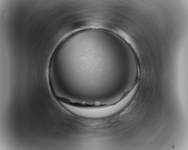 X0000088741334200705311440