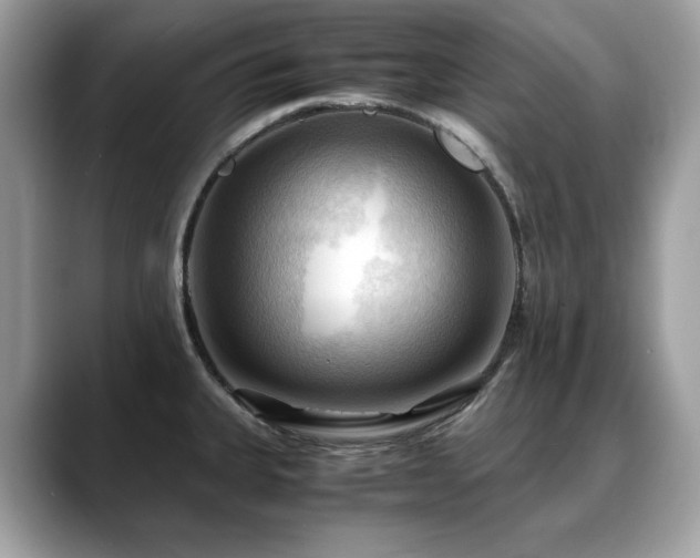X0000088741335200705311440