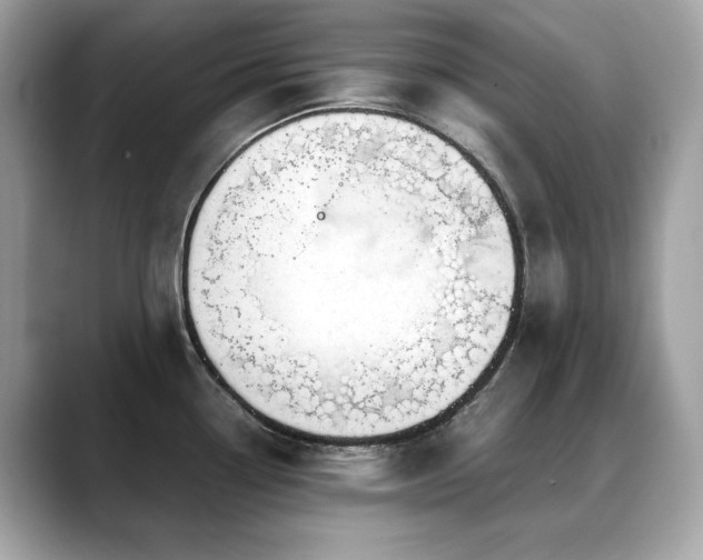 X0000088741338200705311440