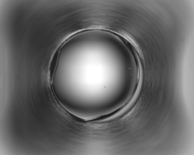 X0000088741340200705311440