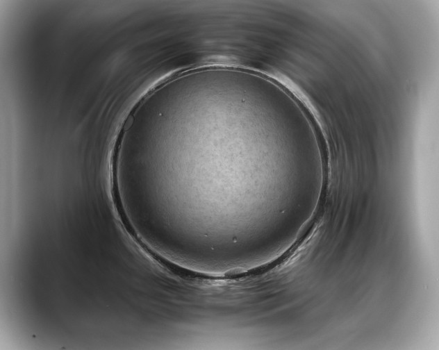 X0000088741341200705311440