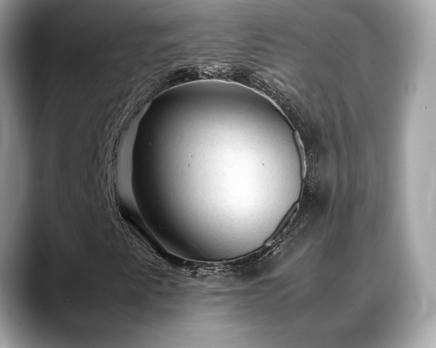 X0000088741345200705311440