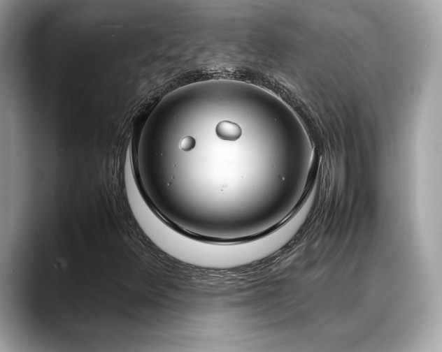 X0000088741348200705311440