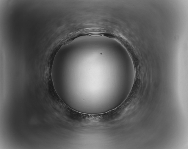 X0000088741351200705311440