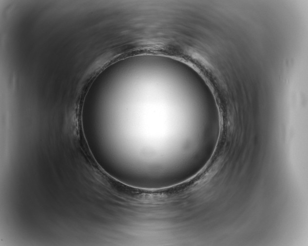 X0000088741354200705311440