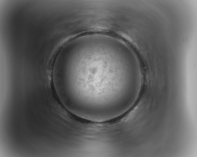 X0000088741355200705311440