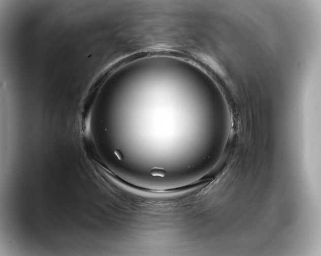 X0000088741356200705311440