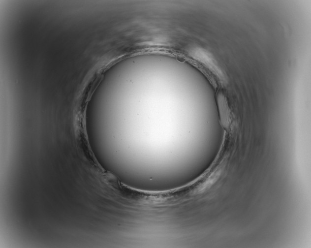 X0000088741357200705311440