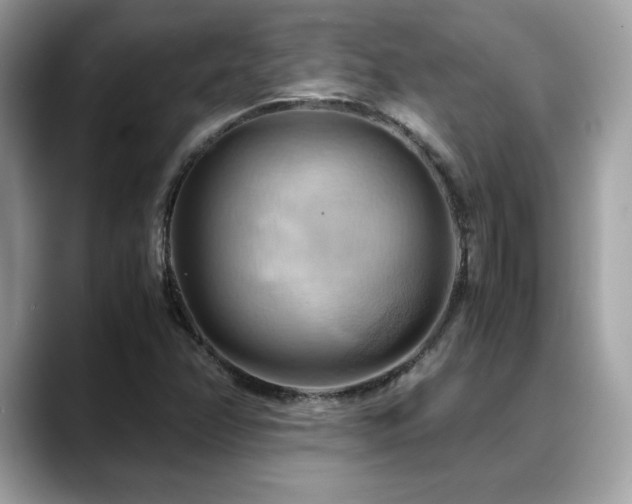 X0000088741358200705311440