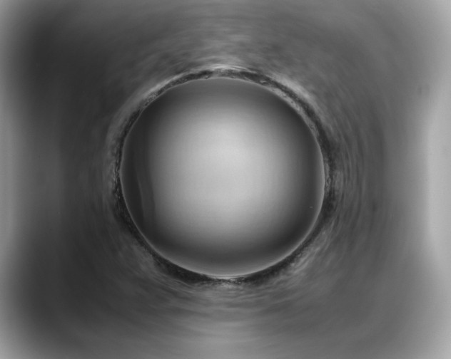 X0000088741359200705311440