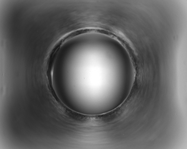 X0000088741360200705311439