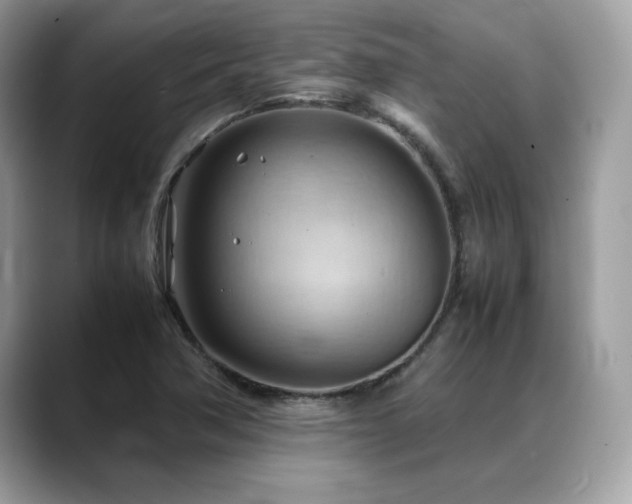 X0000088741362200705311439