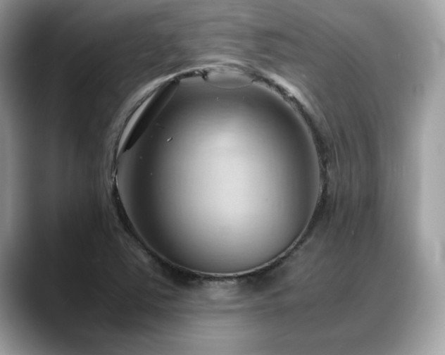 X0000088741363200705311439