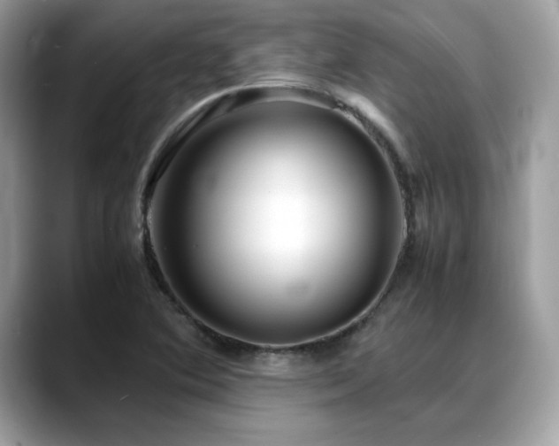 X0000088741364200705311439