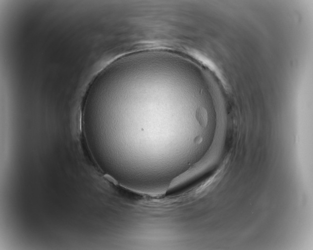 X0000088741365200705311439