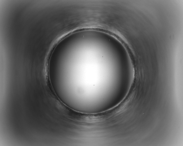 X0000088741366200705311439