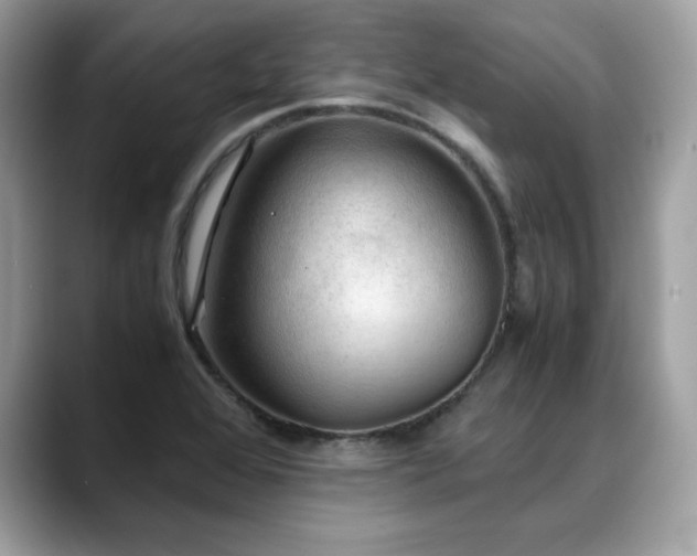 X0000088741368200705311439