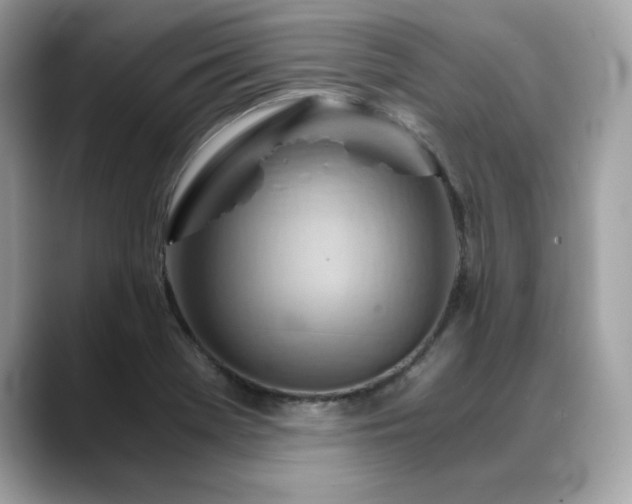 X0000088741369200705311439