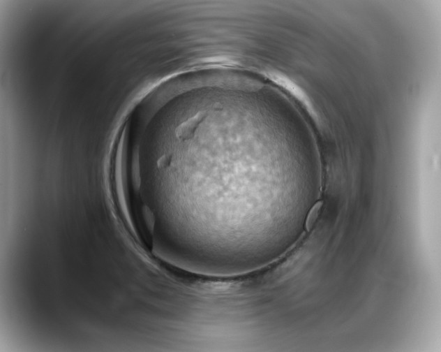 X0000088741373200705311439