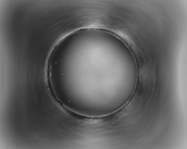 X0000088741374200705311439