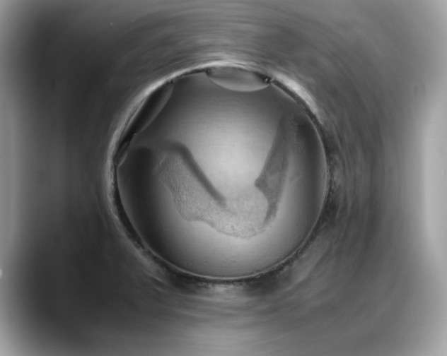 X0000088741375200705311439