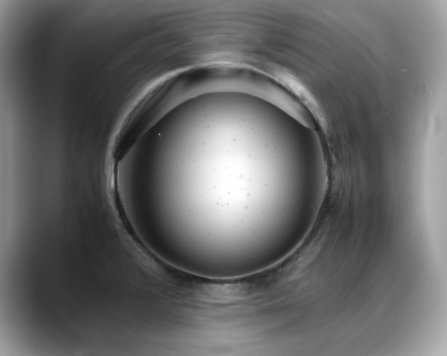 X0000088741376200705311439