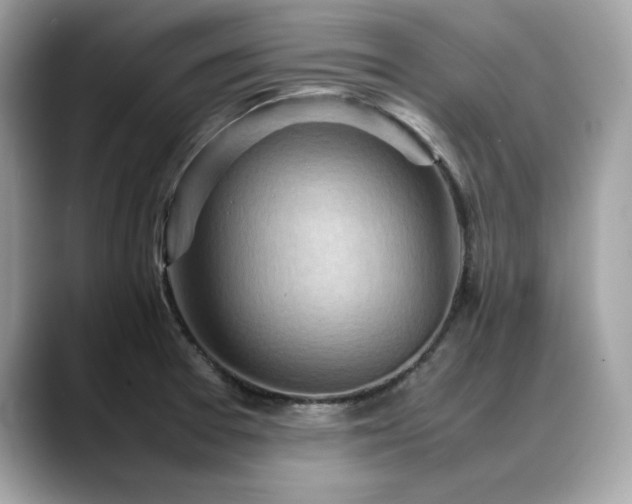 X0000088741377200705311439