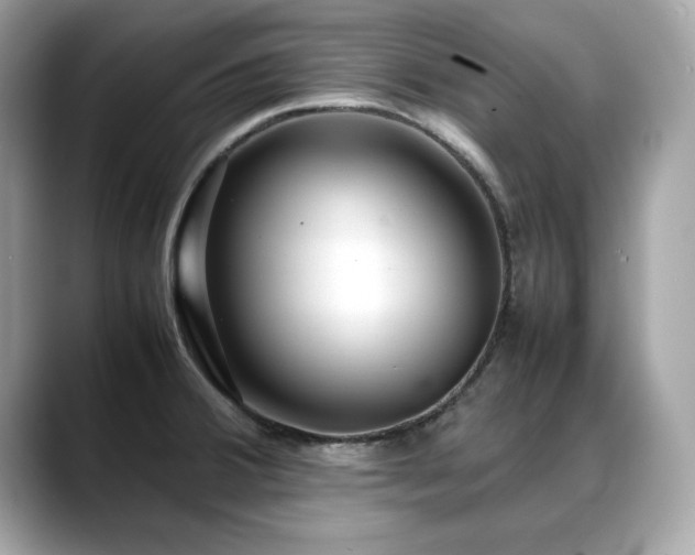 X0000088741380200705311439