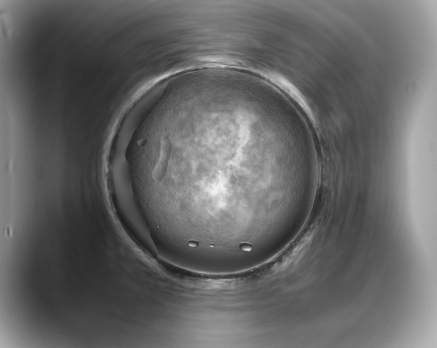 X0000088741381200705311439