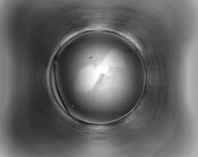 X0000088741382200705311439