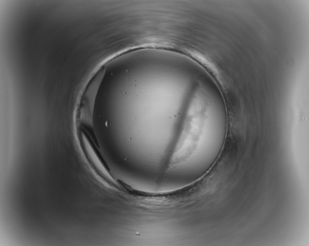 X0000088741383200705311439
