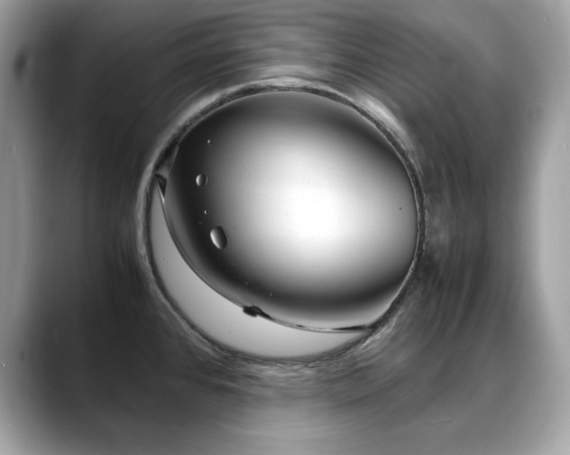 X0000088741384200705311439