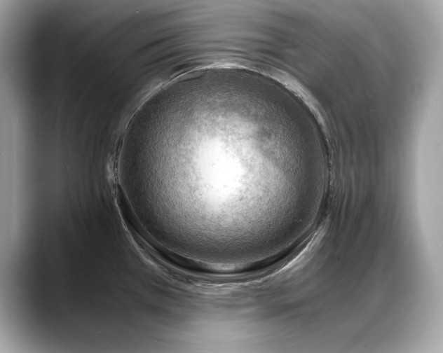 X0000088741385200705311439