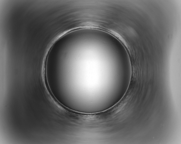 X0000088741387200705311439