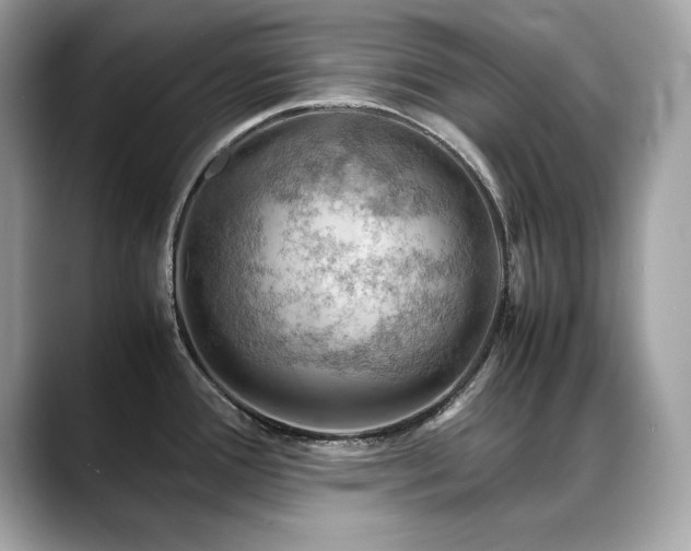 X0000088741388200705311439