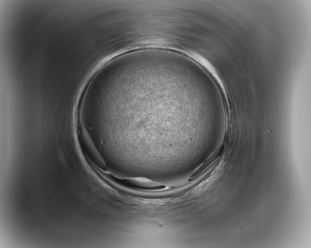 X0000088741389200705311439