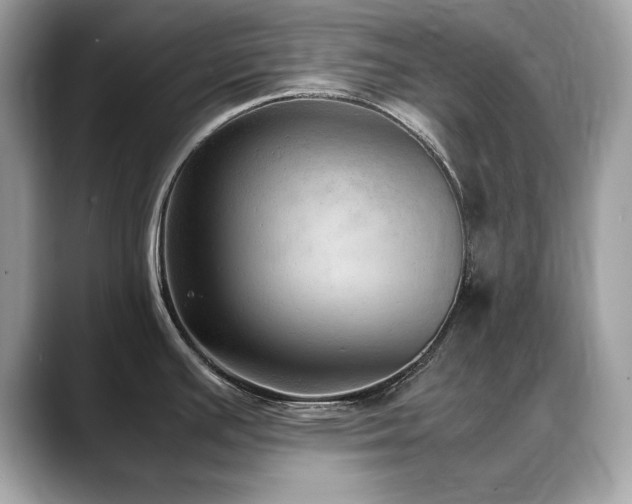 X0000088741391200705311439