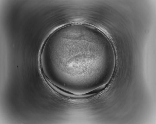 X0000088741392200705311439