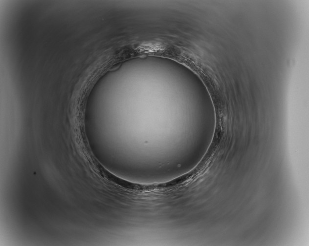X0000088741393200705311439
