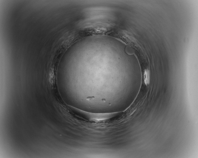 X0000088741395200705311439