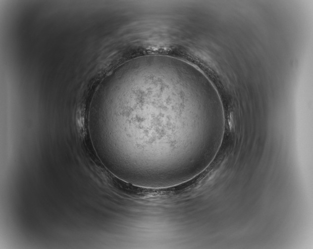 X0000088741396200705311439