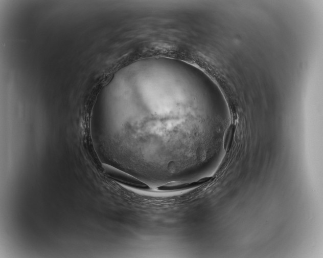 X0000088741397200705311439