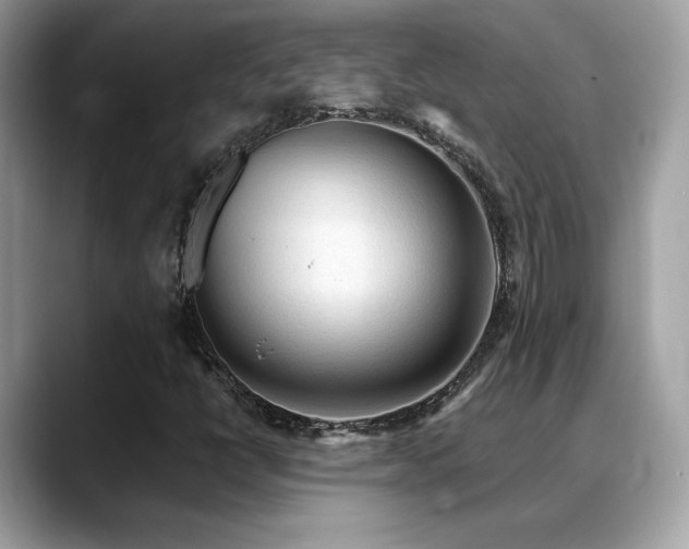 X0000088741398200705311439