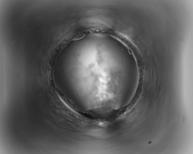 X0000088741399200705311439