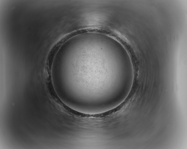 X0000088741400200705311439