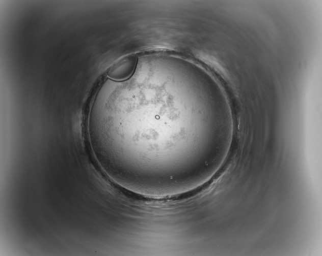 X0000088741404200705311439