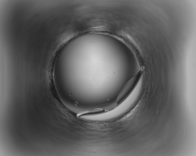 X0000088741405200705311439