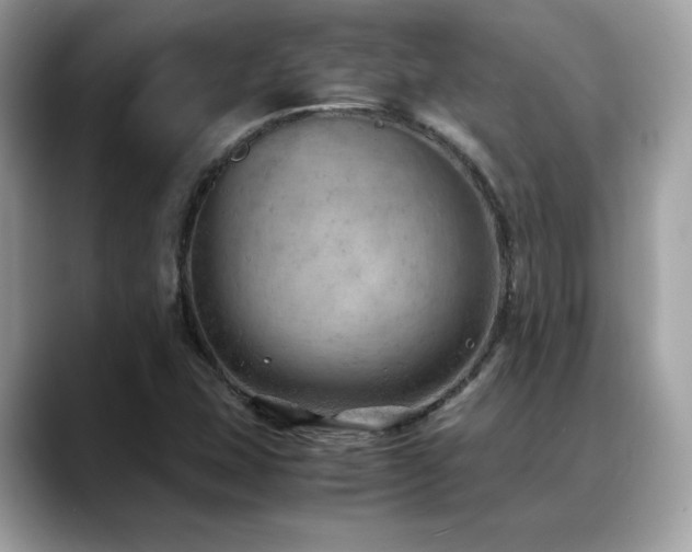 X0000088741407200705311439