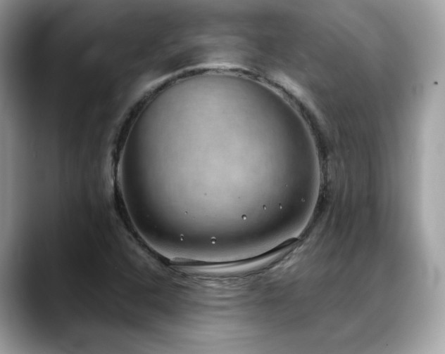 X0000088741408200705311439