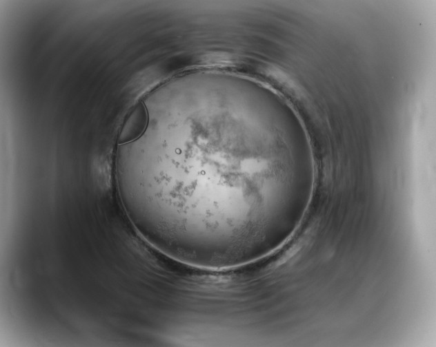 X0000088741409200705311439